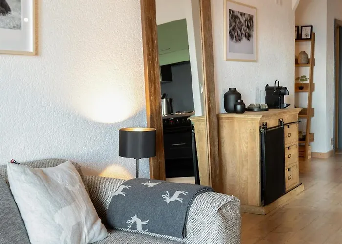 L'ours Des Pistes L In-out L By Cosyhome Appartement *