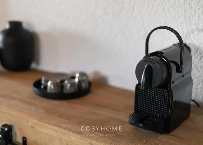 L'ours Des Pistes L In-out L By Cosyhome * Agettes