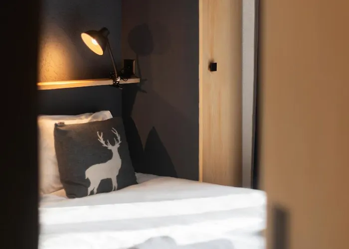 L'ours Des Pistes L In-out L By Cosyhome Agettes