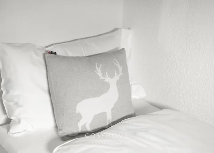 L'ours Des Pistes L In-out L By Cosyhome 公寓 *